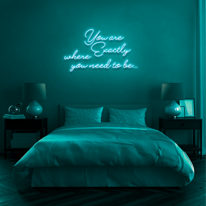 "YOU ARE EXACTLY WHERE YOU NEED TO BE" - NEONIDAS NEONSCHILD LED-SCHILD